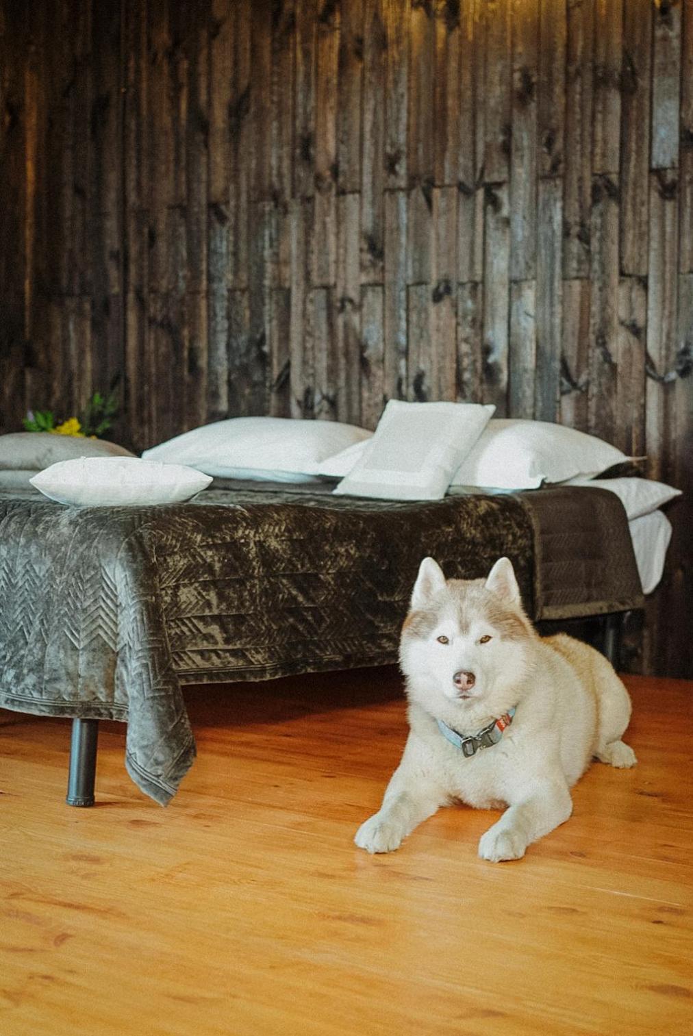Долина Хюгге Hotel Chornomors'ke  Exterior foto